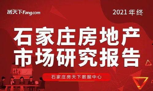 石家庄48中最新爆料,揭秘校园变革与未来展望